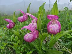 -白草畔自然风景区