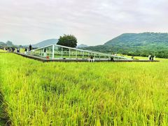 -艾米稻香小镇