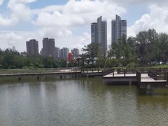 -绿岛公园(滨海新区)