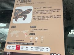 -武汉动物园