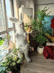 -童趣自然光儿童摄影工作室