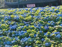 -苏州上方山国家森林公园