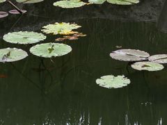 -成都市活水公园