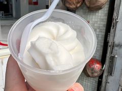 -洪馨椰子