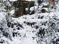 -青城山