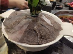 -小王少龙火锅(沙南街店)