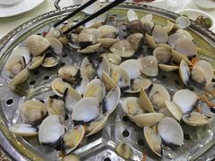 -凯盈阁·顺德私房菜·桑拿鸡