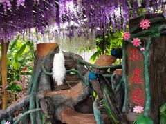 -西双版纳勐泐文化旅游区