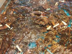 -新丁香海鲜酒店(银海商贸城店)