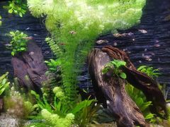 -上海海洋水族馆