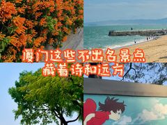 -厦门明发国际大酒店(会展中心环岛路店)