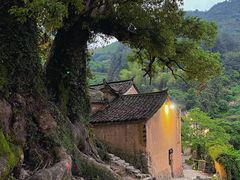 -杨家堂村