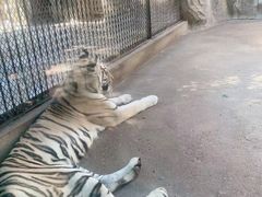 -南昌动物园
