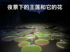 -金山植物公园
