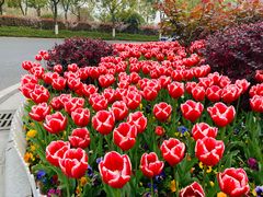 -无锡市市民中心