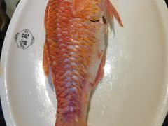 -吴记富苑(朝阳店)