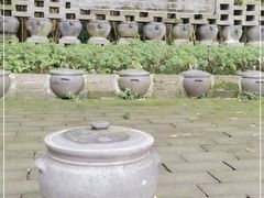 -土砂锅生态山庄·非遗砂锅雅鱼