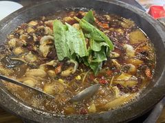 -都江堰石锅鱼