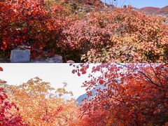 -周口店坡峰岭风景区