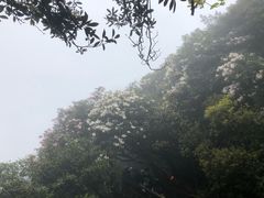 -井冈山风景名胜区