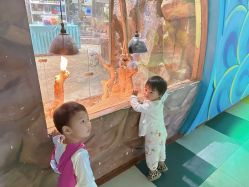 -宝燕乐园(闵行旗舰店)