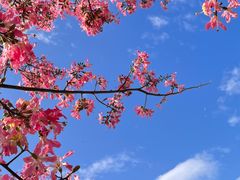 -风云岭森林公园