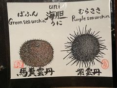 -鮨菜和喜智