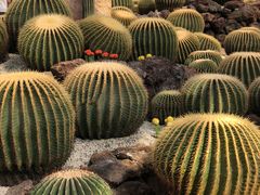 -南通洲际绿博园