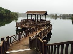 -上海市保健医疗中心(华东疗养院)