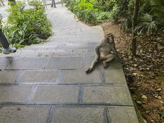 -黔灵山公园
