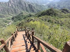 -大岭沟猕猴桃谷风景区