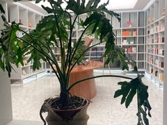 -二酉书店TOYOU BOOKS