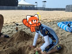 -碧海金沙