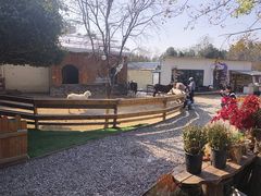 -HERRE·FARM 赫尔露营农场·团建聚会包场