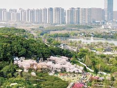-苏州上方山国家森林公园