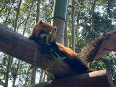 -北京野生动物园