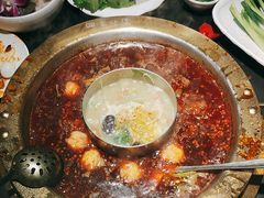 -蜀九香火锅(彩虹店)