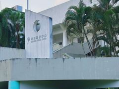 -大生体育(总店)
