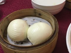 -蓝冰洋