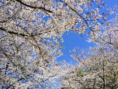 -杭州少年儿童公园