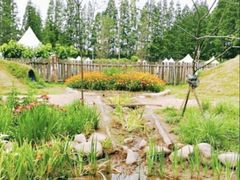 -前小桔亲子创意农场·草莓采摘·露营烧烤