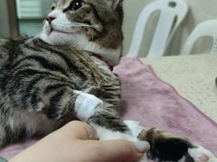 -动物缘宠物医院·骨科·猫科(西二环店)