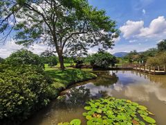 -中国科学院西双版纳热带植物园