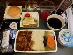 -新加坡航空公司(ION)