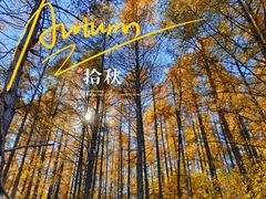 -帽儿山国家森林公园