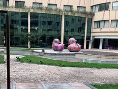 -Club Med地中海俱乐部·桂林度假村