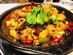 藤椒鲢鱼片-陶德砂锅居(育才路店)