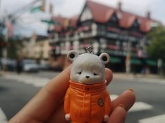 -普林斯顿大学
