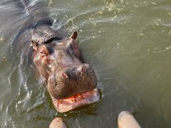 -杭州野生动物世界