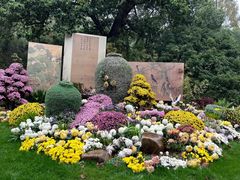 -杭州植物园